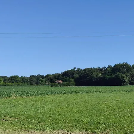 Holiday home Maison Hestia 70m2 5 Personnes, Pleine Campagne Proximite D'orthez *